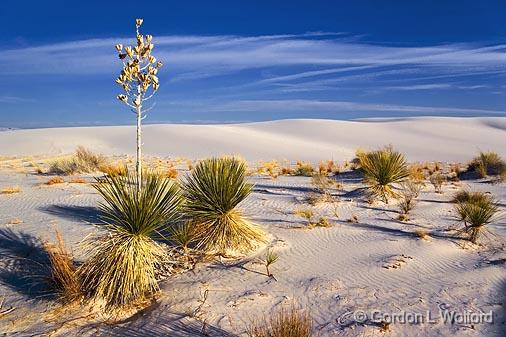 White Sands_32022.jpg - Photographed at the White Sands National Monument near Alamogordo, New Mexico, USA.